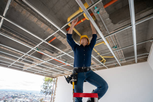 Best Plumbing Repair Near Me  in Trinidad, CO